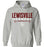 Lewisville High School Sports Grey Classic Hoodie 03