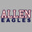 Allen High School Sports Grey Women's T-shirt 10