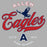 Close-up view of Allen High School Eagles Classic Unisex Grey T-shirt 216