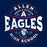 Close-up of Allen High School Eagles Classic Unisex Navy T-shirt 219