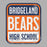 Close-up of Bridgeland High School Bears Sport Grey Classic Unisex Hoodie 01