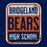 Close-up of Bridgeland High School Bears Classic Unisex Navy T-shirt 01