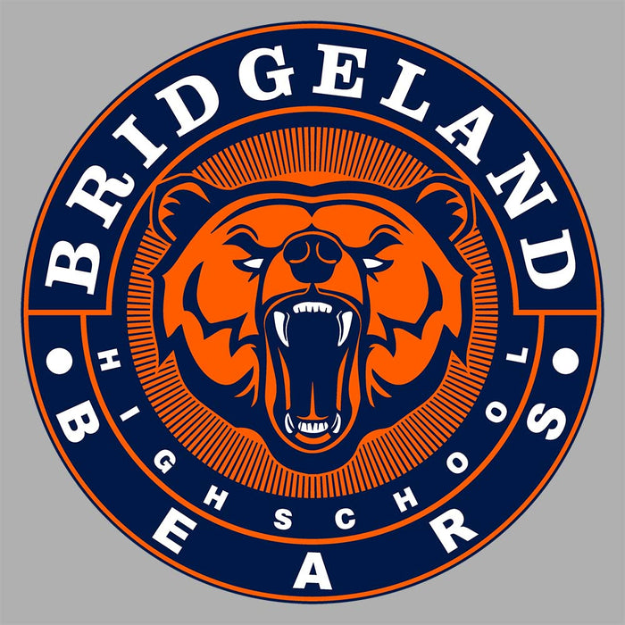 Close-up of Bridgeland High School Bears Premium Carbon Grey Hoodie 02