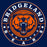 Close-up of Bridgeland High School Bears Premium Navy Unisex T-shirt 02