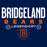 Close-up of Bridgeland High School Bears Navy Classic Unisex Hoodie 03