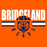 Close-up of Bridgeland High School Bears Women's Orange T-shirt 101