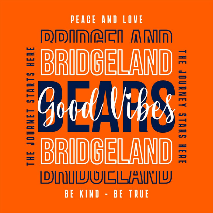 Close-up of Bridgeland High School Bears Classic Unisex Orange T-shirt 13