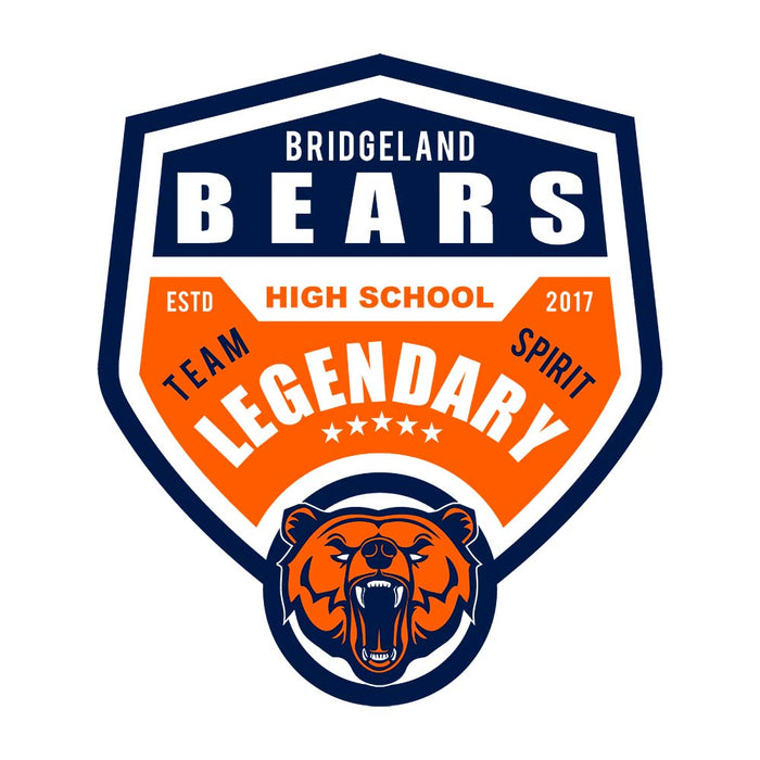 Close-up of Bridgeland High School Bears Unisex 3/4 sleeve Raglan T-shirt 14