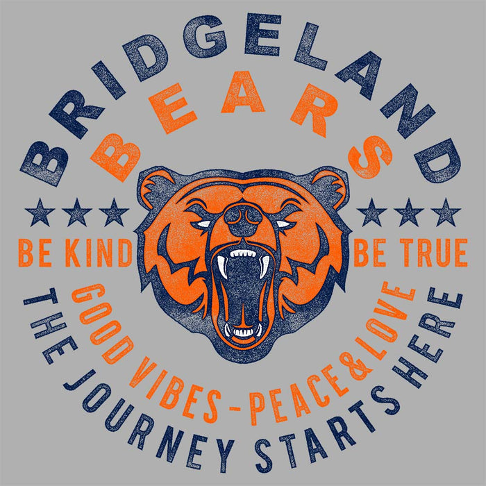 Close-up of Bridgeland High School Bears Sport Grey Classic Unisex Hoodie 16