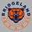 Close-up of Bridgeland High School Bears Premium Carbon Grey Hoodie 19