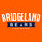 Close-up of Bridgeland High School Bears Classic Unisex Orange T-shirt 21