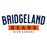 Close-up of Bridgeland High School Bears Unisex 3/4 sleeve Raglan T-shirt 21