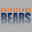 Close-up of Bridgeland High School Bears Sport Grey Classic Unisex Hoodie 24