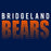 Close-up of Bridgeland High School Bears Premium Navy Unisex T-shirt 24