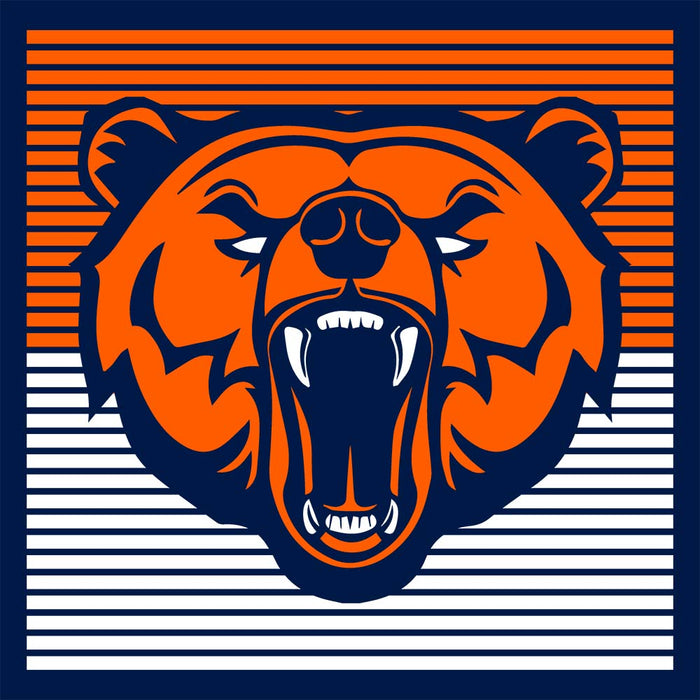 Close-up of Bridgeland High School Bears Premium Navy Unisex T-shirt 27