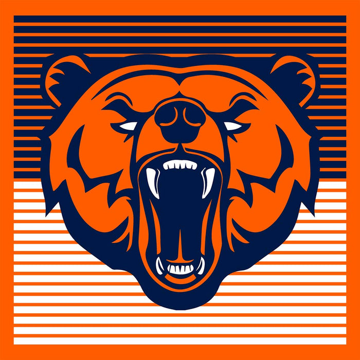 Close-up of Bridgeland High School Bears Premium Orange Unisex T-shirt 27