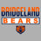 Close-up of Bridgeland High School Bears Sport Grey Classic Unisex Hoodie 29