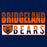 Close-up of Bridgeland High School Bears Classic Unisex Navy T-shirt 31