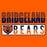 Close-up of Bridgeland High School Bears Classic Unisex Orange T-shirt 31