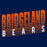 Close-up of Bridgeland High School Bears Navy Classic Unisex Hoodie 32