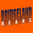 Close-up of Bridgeland High School Bears Classic Unisex Orange T-shirt 32