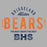 Close-up of Bridgeland High School Bears Sport Grey Classic Unisex Hoodie 40