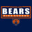 Close-up of Bridgeland High School Bears Premium Navy Unisex T-shirt 49