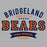 Close-up of Bridgeland High School Bears Sport Grey Classic Unisex Hoodie 96