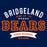 Close-up of Bridgeland Bears Premium Navy Hoodie - Design 96