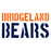 Close-up view of Bridgeland High School Bears Unisex 3/4 sleeve Raglan T-shirt 017