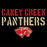 Close-up view of Caney Creek High School Panthers Women's Black T-shirt 017