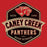 Close-up of Caney Creek High School Panthers Red Premium Unisex T-shirt 209