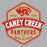 Close-up view of Caney Creek High School Panthers Women's Grey T-shirt 209