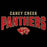 Close-up view of Caney Creek High School Panthers Black Premium Unisex Hoodie 222