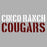 Cinco Ranch Cougars Grey Unisex T-shirt 17