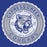 Close-up of Cypress Creek High School Cougars Royal Blue Classic Unisex T-shirt 218