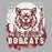 Close-up of Cy-Fair High School Bobcats Unisex 3/4 sleeve Raglan T-shirt 202