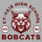 Close-up of Cy-Fair High School Bobcats Unisex 3/4 sleeve Raglan T-shirt 208