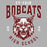 Close-up of Cy-Fair High School Bobcats Unisex 3/4 sleeve Raglan T-shirt 213