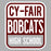 Close-up view of Cy-Fair High School Bobcats Unisex 3/4 sleeve Raglan T-shirt 001
