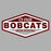 Close-up view of Cy-Fair High School Bobcats Unisex 3/4 sleeve Raglan T-shirt 009