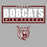 Close-up view of Cy-Fair High School Bobcats Unisex 3/4 sleeve Raglan T-shirt 049