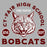 Close-up view of Cy-Fair High School Bobcats Unisex 3/4 sleeve Raglan T-shirt 208