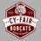 Close-up view of Cy-Fair High School Bobcats Sport Grey Classic Unisex T-shirt 209