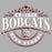 Close-up view of Cy-Fair High School Bobcats Unisex 3/4 sleeve Raglan T-shirt 211