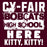 Close-up view of Cy-Fair High School Bobcats Maroon Classic Unisex T-shirt 231