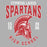 Close-up view of Cypress Lakes High School Spartans Carbon Grey Premium Unisex Hoodies 213