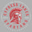 Close-up view of Cypress Lakes High School Spartans Unisex 3/4 sleeve Raglan T-shirt 214