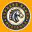 Close-up view of Cypress Ranch High School Mustangs Gold Premium Unisex T-shirt 218