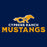 Close-up view of Cypress Ranch High School Mustangs Navy Classic Unisex Hoodie 222